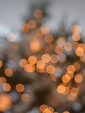 Le temps des présents