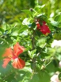 La Guadeloupe #Part 1 : Première approche de l'Ile