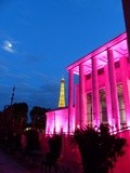 Lancement au Palais de Tokyo de Pink and Black de Magnum avec Brigitte