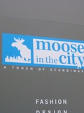 Moose in the city