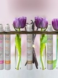 Un petit parfum de Provence