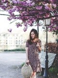 Cherry Blossom – Elodie in Paris