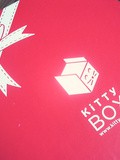 ❊❊❊ La Kitty Box de Noël ❊❊❊