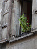 Genève : découverte des vieux quartiers