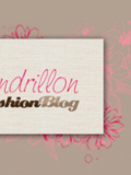 Interview de blogueuse : Cendrillon