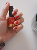 Les vernis Pro’s