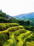 #voyage: banaue & batad rice terraces, philippines