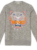Eyes of the Tiger ! Vite un Pull Tigre