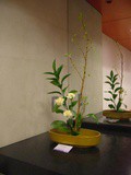 Ikebana, the Art of Flower Arrangement