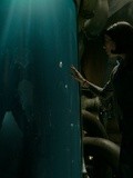 Cinéma : La Forme de l'eau, de Guillermo del Toro - Avec Sally Hawkins, Doug Jones, Michael Shannon
