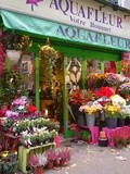 Coup de cœur : Aléas au balcon et bons plans shopping en ligne