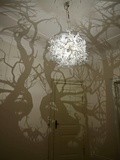 Design : Forms in nature, installation lumineuse par Hilden and Diaz
