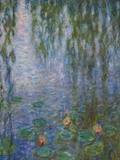 Expo : Les Nymphéas de Claude Monet au Musée de l'Orangerie - Jardin des Tuileries - Paris 1