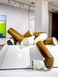 Expo : Pop Art, Icons that Matter - Collection du Whitney Museum of American Art - Musée Maillol - Paris 7