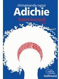 Lundi Librairie : Americanah - Chimamanda Ngozi Adichie