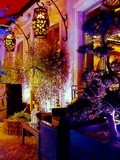 Mes Adresses : La terrasse d'hiver du Buddha Bar Hotel, Forêt Enchantée sur le thème de la bambouseraie japonaise - Paris 8