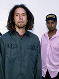 Music : Rage Against The Machine - Killing In the Name