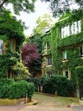 Paris : l'insolite square Montsouris, verdoyante allée résidentielle - Paris 14