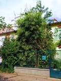 Paris : La Cité du Palais Royal, un secret bellevillois préservé - 151 rue de Belleville - XIXème