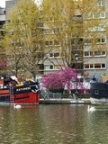 Paris : Le bassin de la Villette, promenades Eric Taberly et Jean Vigo, un port de plaisance à Paris