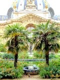 Paris : Le jardin du Petit Palais, les charmes exotiques d'une oasis en ville - avenue Winston Churchill - VIIIème