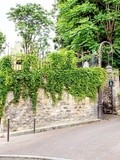 Paris : Rue Berton, voyage à travers les siècles à Passy - XVIème