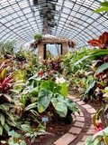 Paris : Serres d'Auteuil, beauté des collections botaniques d'un jardin du XIXème siècle dans la tourmente - XVIème