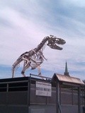 Paris : Tyrannosaurus Rex de Philippe Pasqua - Embarcadère de la Compagnie des Bateaux-Mouches - Port de la Conférence - Paris 8