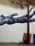 Sunday Street Art : adm - Un chat nommé Rubens - rue de la Mare - Paris 20