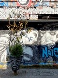 Sunday Street Art : wd - rue Dénoyez - Paris 20