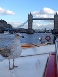 Along the Thames ❤