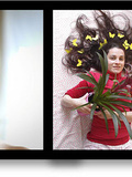 Ma plante et moi - Même les belles histoires ont une fin