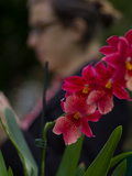 Ma plante et moi : Un ceintre s'il vous plaît