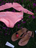 Plan anti-canicule (ii)