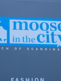 Découverte: Moose in the city
