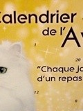 Calendrier de l’Avent pour chats : on aura tout vu