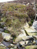 Mon escapade dans les Wicklow Moutains