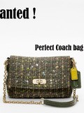 Wanted : little coach bag