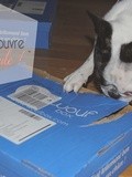 Concours woufbox : j'ai une surprise pour vous...