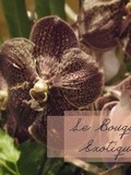 Le Bouquet Exotique