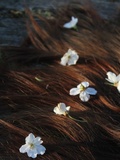 Coloration capillaire : la couleur de cheveux châtain clair cuivré