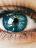 Les yeux les plus rares du monde : quelles sont ces couleurs