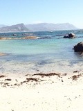 Sinon, je suis allée au Cap de Bonne Espérance, en Afrique du Sud