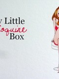 My Little Box se fait coquine pour la Saint Valentin ! (février 2013)