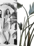 Zara : La nouvelle collection femme printemps été 2014