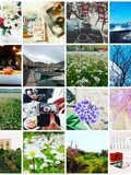 Best of « Avril / Mai » sur Instagram