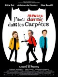Cinéma, j'irai mourir dans les Carpates de et avec Antoine de Maximy - Critique
