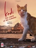 Cinéma : Kedi des chats et des hommes - Critique