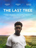 Cinéma, The last tree  - Critique