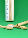 Dentylium présente la brosse à dents rechargeable en bambou